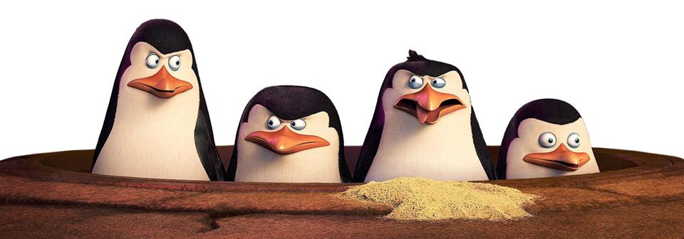 Die Viererbande aus "Madagascar" Die Viererbande aus "Madagascar"