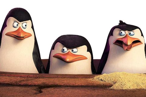 Die Viererbande aus "Madagascar"