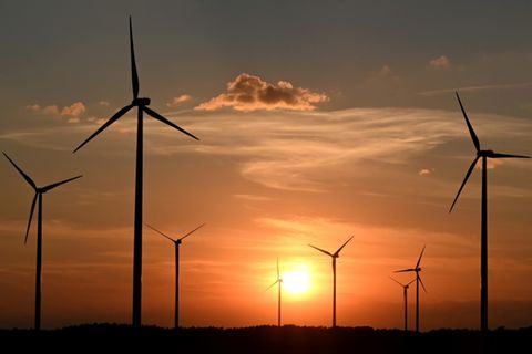Windräder in Brandenburg