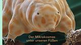 Bildband "Drecksarbeit"