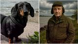 Dackel Harry, der Hund unseres Kollegen Christian Hensen, Ressortleiter Leben