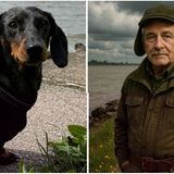 Dackel Harry, der Hund unseres Kollegen Christian Hensen, Ressortleiter Leben