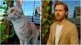 Kater Kurt, das Haustier unserer Affiliate-Redakteurin Anna Scheibe