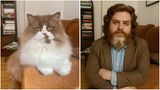 Willi, der Kater unserer Redakteurin Jana Felgenhauer aus dem Ressort People und Unterhaltung