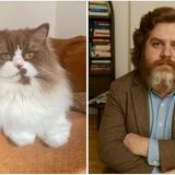 Willi, der Kater unserer Redakteurin Jana Felgenhauer aus dem Ressort People und Unterhaltung