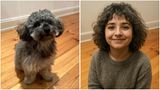 Loki, die Hündin unserer Redakteurin Ilona Kriesl aus dem Ressort Gesundheit