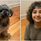 Loki, die Hündin unserer Redakteurin Ilona Kriesl aus dem Ressort Gesundheit