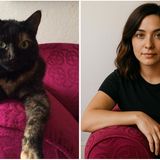 Piri Piri Prinzessin von Schildpatt, die Katze unserer Reporterin Kerstin Herrnkind