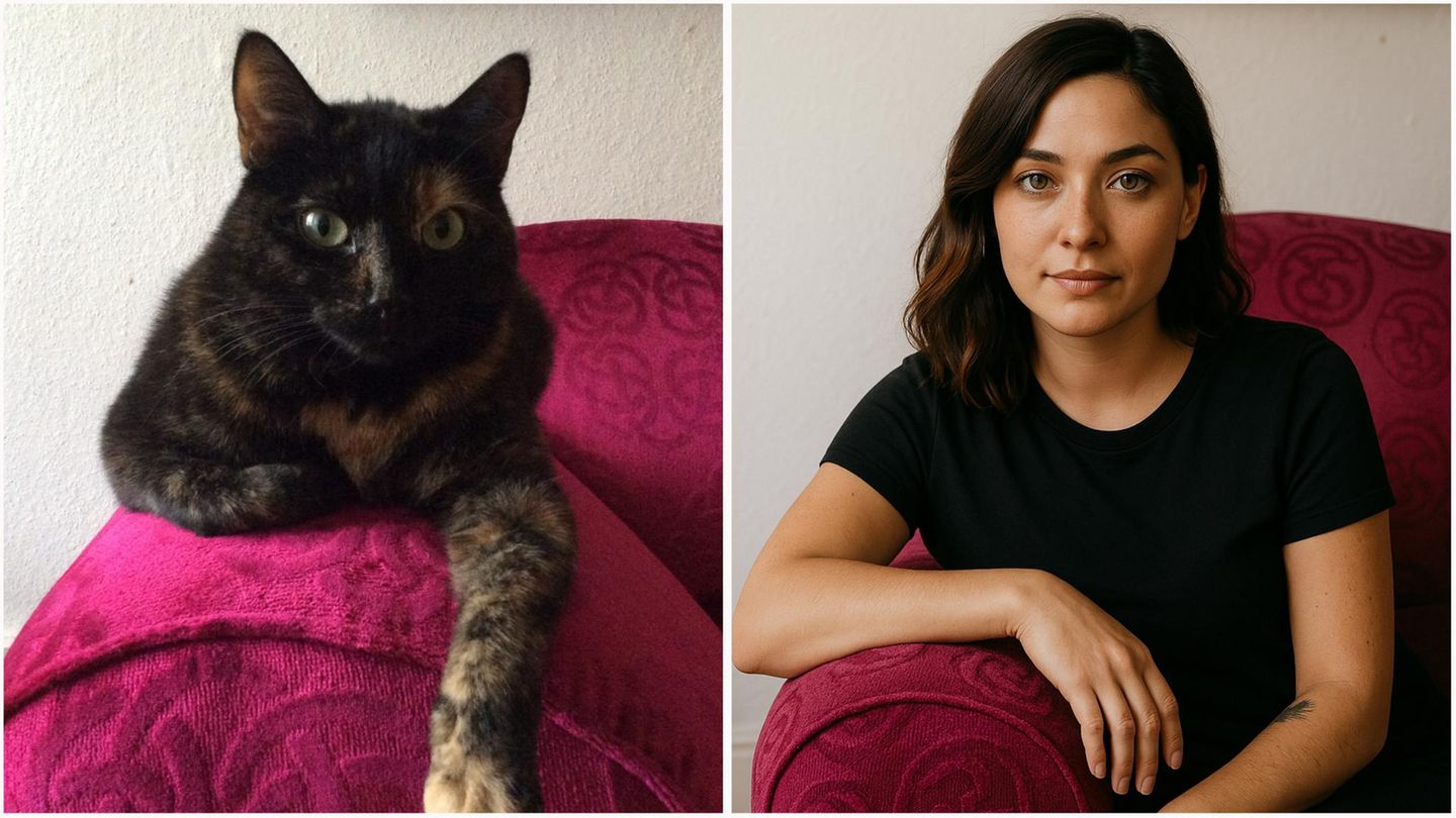 Piri Piri Prinzessin von Schildpatt, die Katze unserer Reporterin Kerstin Herrnkind