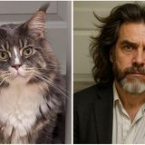 Gilbert a.k.a. Berti, der Maine-Coone-Kater unserer Social-Media-Redakteurin Karina Geburzky