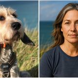 Mafalda, die Hündin unserer Kollegin Charlotte Wirth aus dem Ressort Recherche