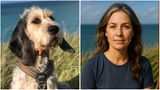 Mafalda, die Hündin unserer Kollegin Charlotte Wirth aus dem Ressort Recherche