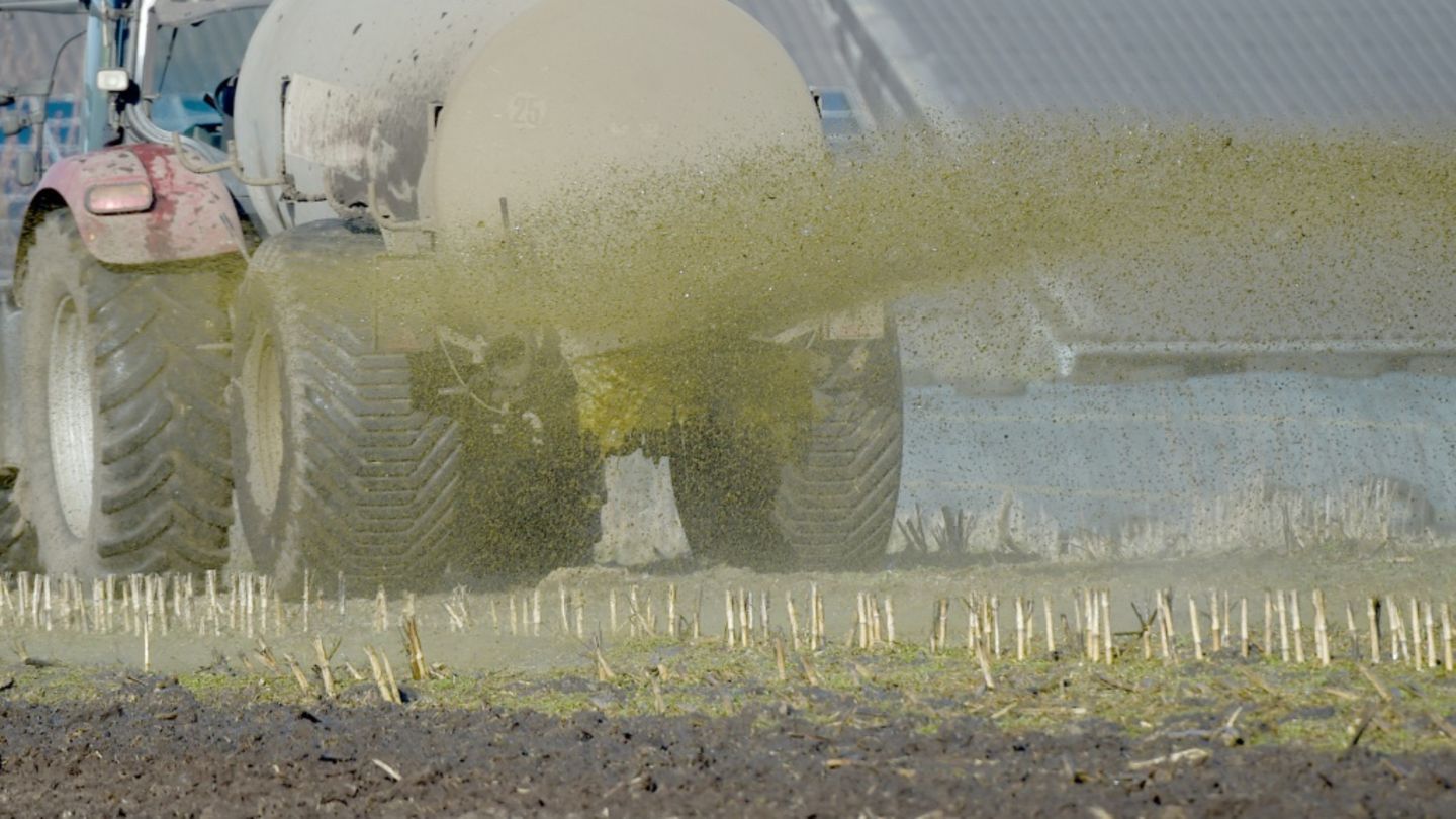 Traktor verteilt Gülle auf Feld