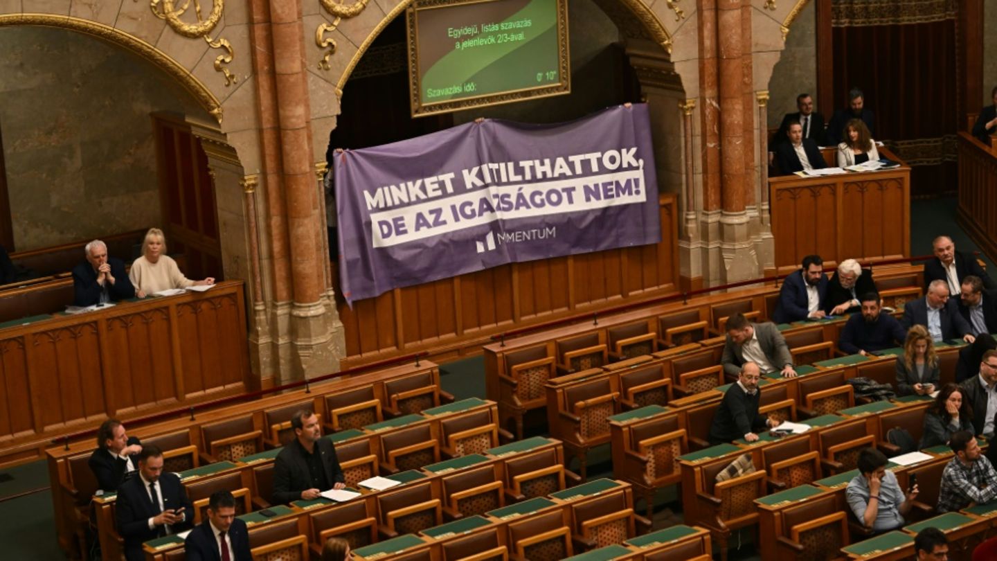 Protest im Parlament