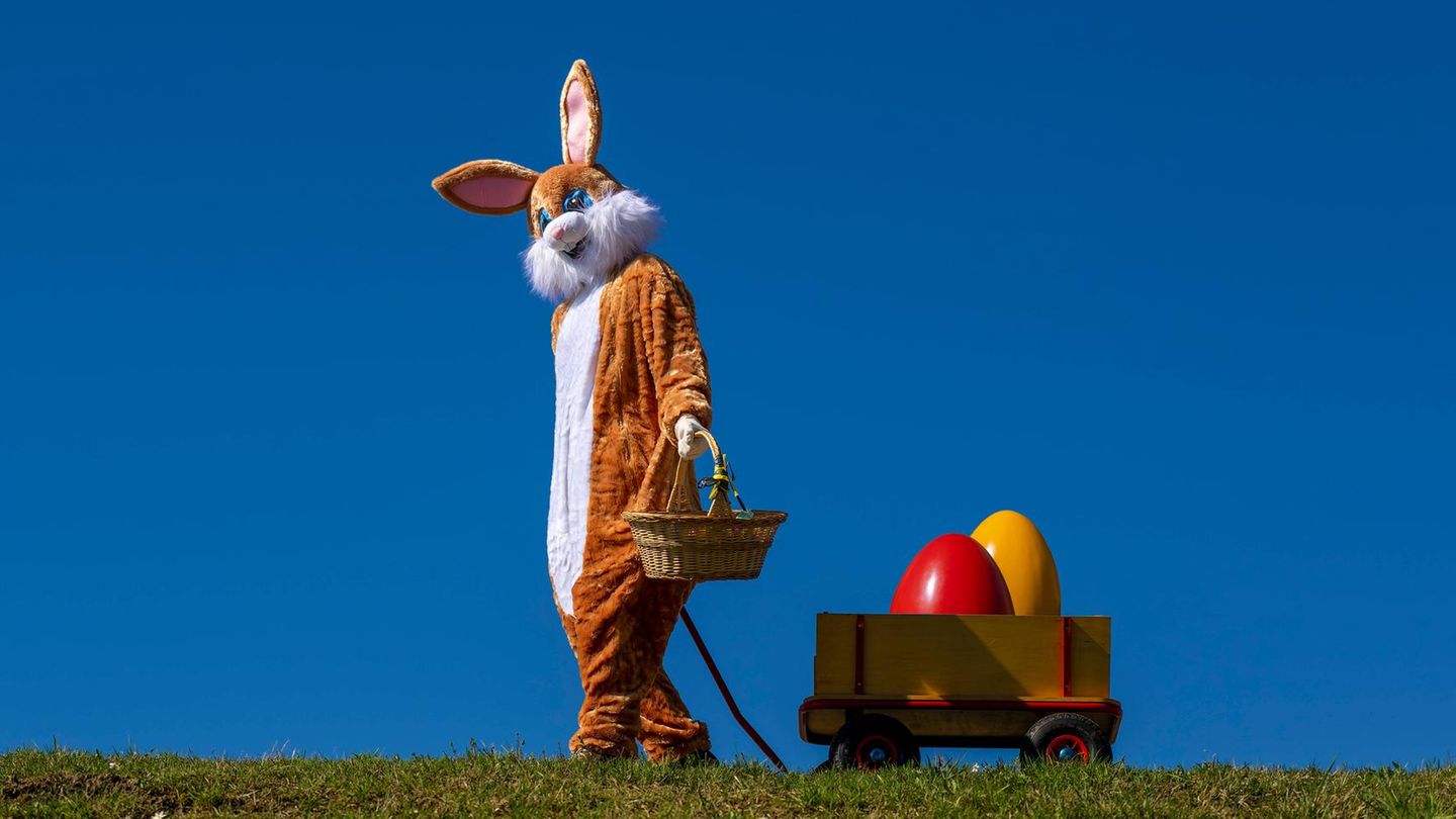 Ostern Wetterbild: Mann im Osterhasenkostüm