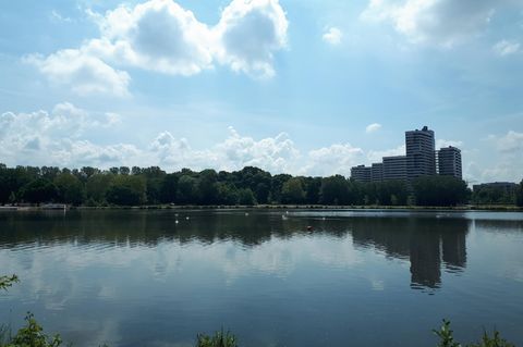 Der Wöhrder See in Nürnberg