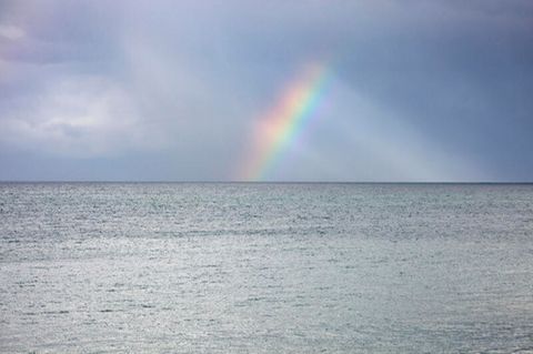 Thema Krise: Ein Regenbogen am Horizont