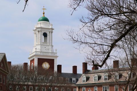 Donald Trump Harvard