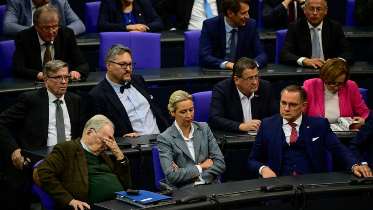 Die neue AfD-Fraktion im Bundestag