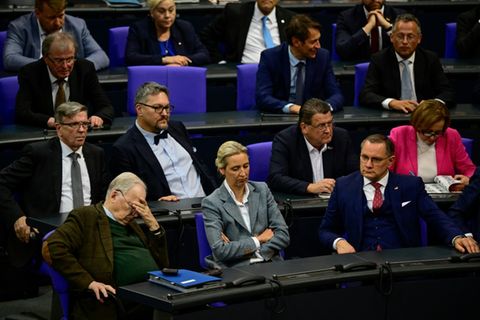 Die neue AfD-Fraktion im Bundestag