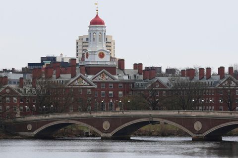 Ein Ruderer rudert den Charles River in der Nähe der Harvard Universität hinunter