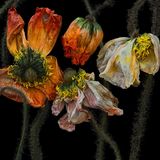 Foto aus der Reihe Wabi Sabi von Kathrin Linkersdorff