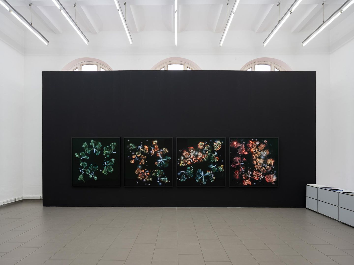 Foto aus dem Ausstellungsraum von Kathrin-Linkersdorff