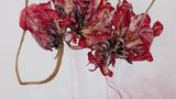 Bild aus der Reihe Floriszenzen von Kathrin Linkersdorff