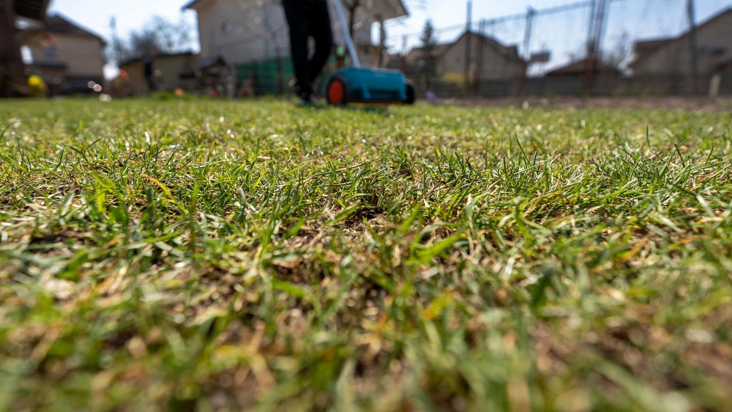Die besten Gartendeals Angebote vom 14. bis 20. April 2025 STERN.de