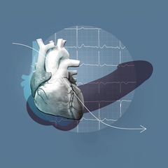 Erektionsprobleme: Illustration eines Herzens und eines Penis