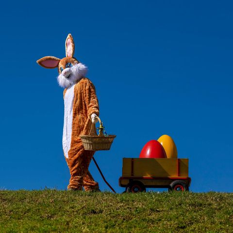 Ostern Wetterbild: Mann im Osterhasenkostüm