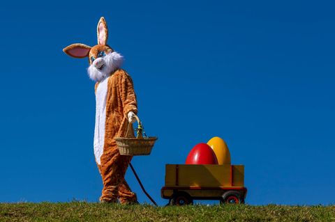 Ostern Wetterbild: Mann im Osterhasenkostüm