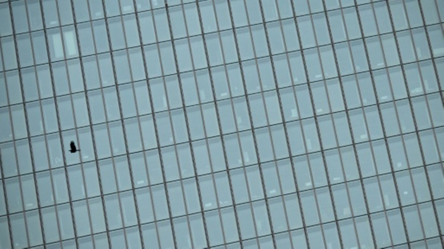 Natur und Architektur