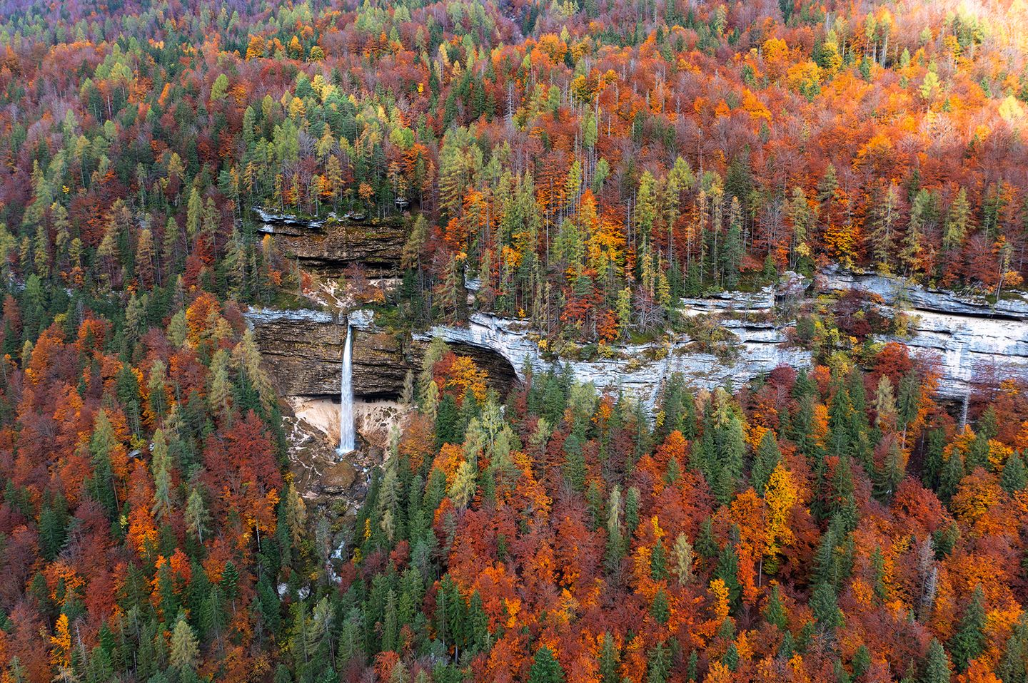 Unberührte Natur im Triglav-Nationalpark Wasserfall im Mischwald