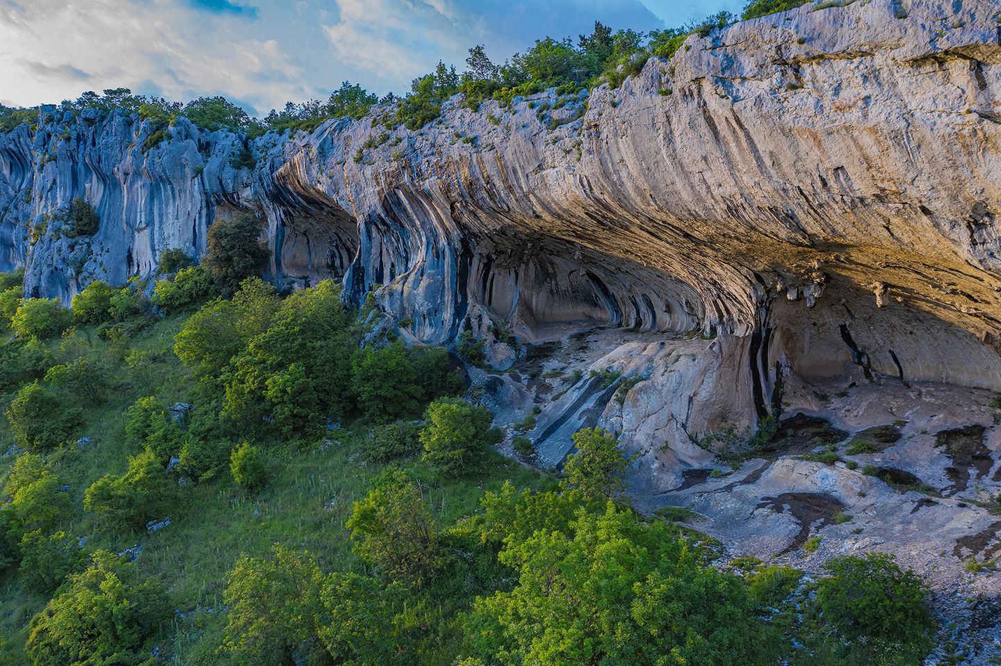 Der Grüne Karst: Hotspot der Artenvielfalt Karstkante bei Sočerga