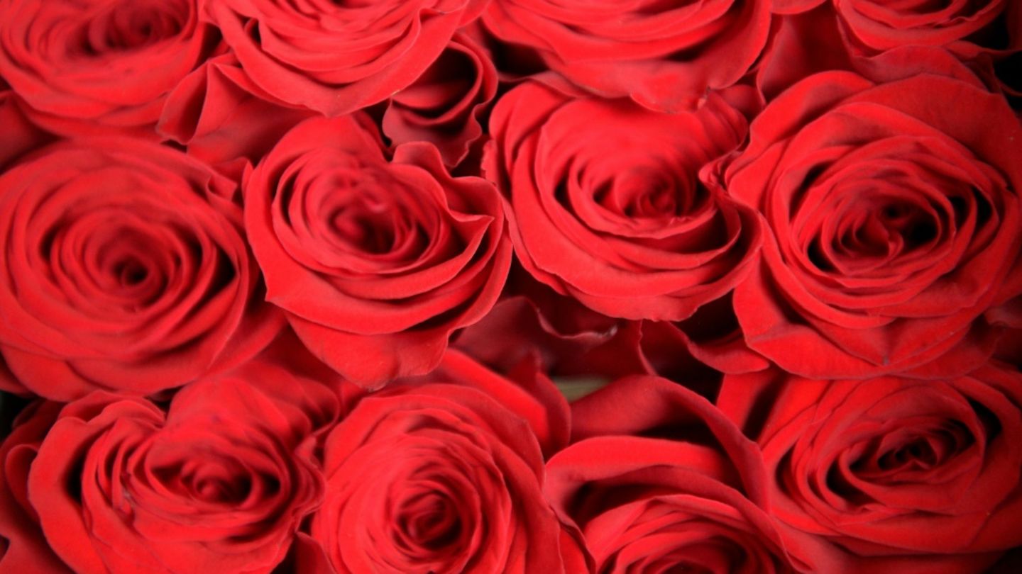 Ein Strauß roter Rosen