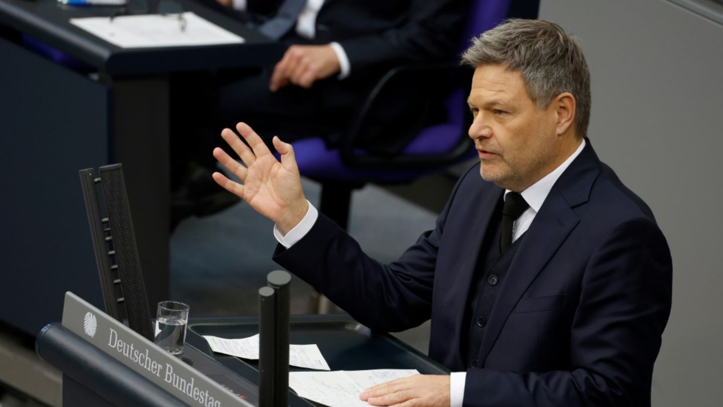 Robert Habeck im Bundestag