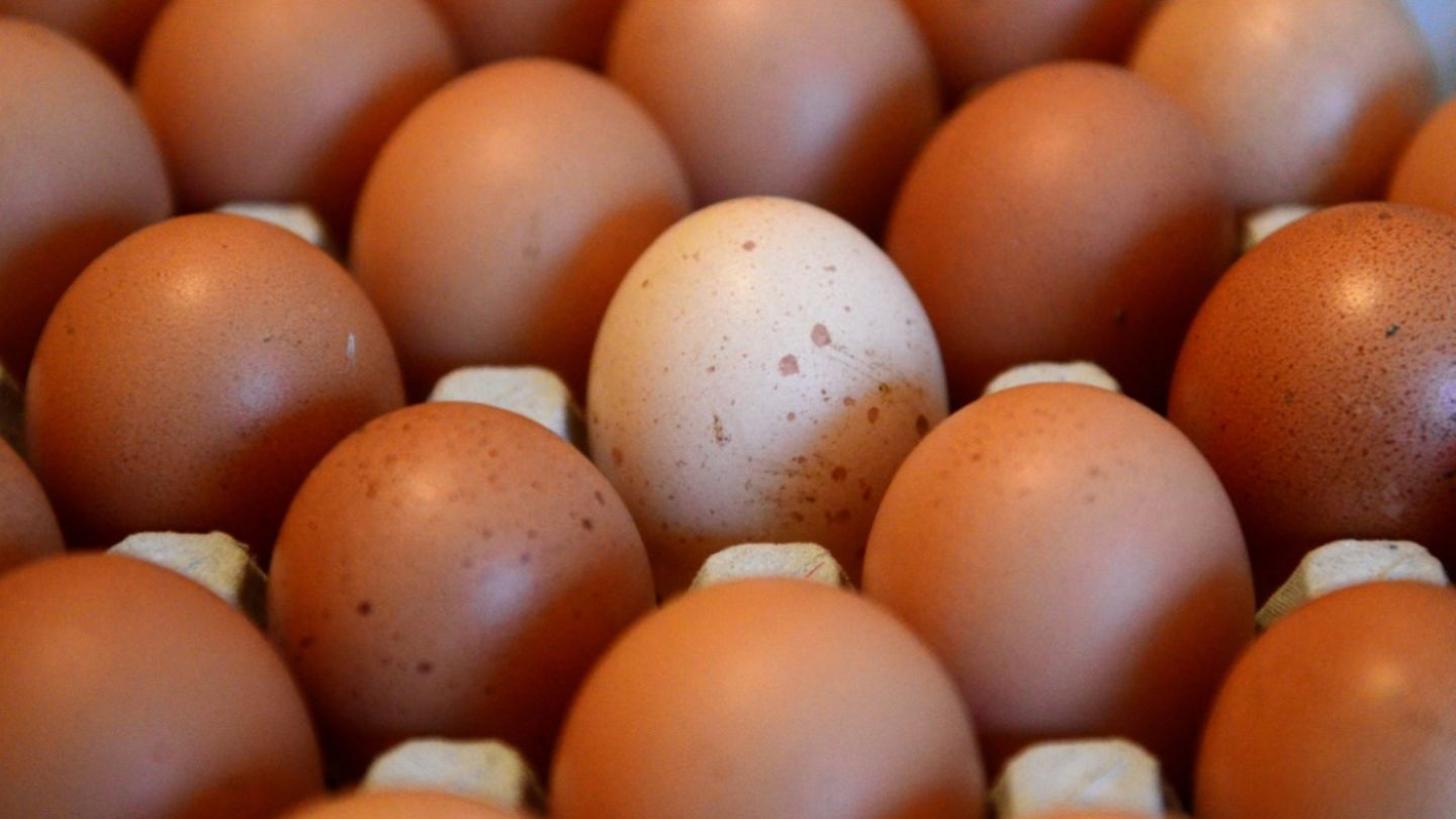 Eier in einem Geschäft