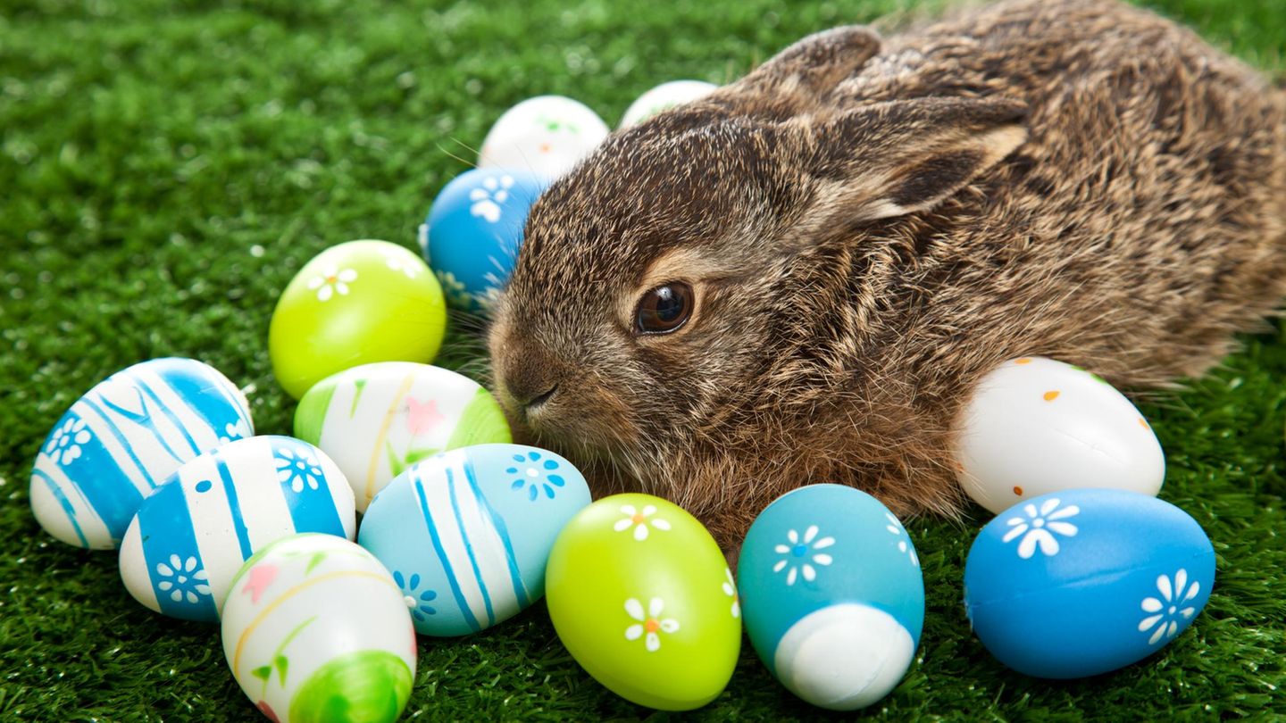 Ein Hase sitzt zu Ostern neben mehreren bunten Eiern