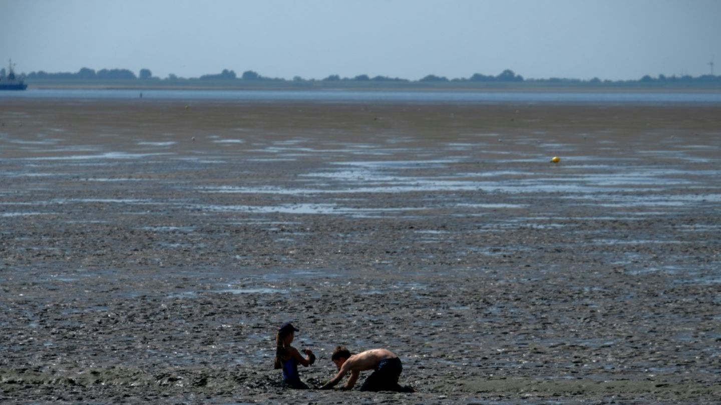 Watt an der Nordsee