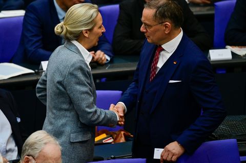 AfD-Chefs Weidel und Chrupalla
