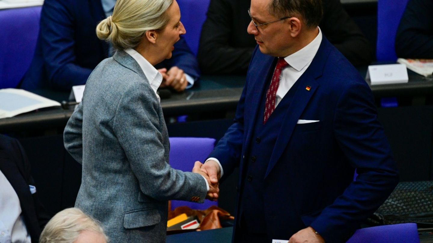 AfD-Chefs Weidel und Chrupalla