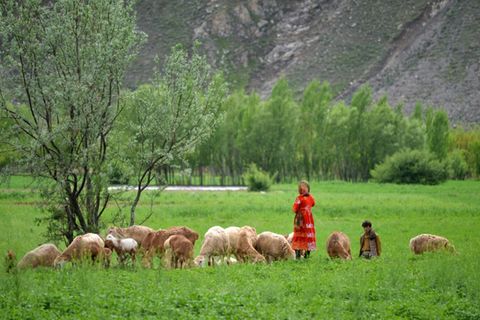 Szene aus Afghanistan
