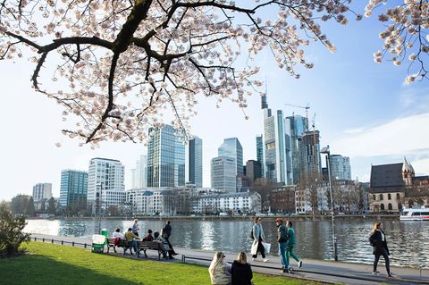 Das Museumsufer in Frankfurt