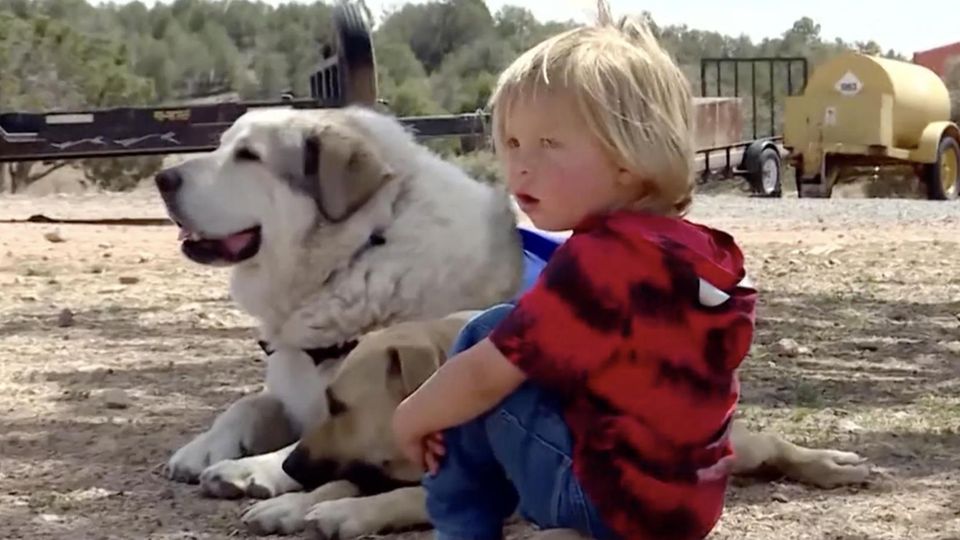 "Ich betrachte es als Wunder": Heldenhund rettet vermissten Jungen in Wildnis Rettungshund Buford und Boden sitzen auf dem Sandboden einer Ranch