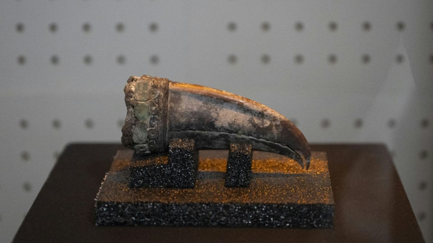 In der Grabstätte in Peru gefundenes antikes Artefakt