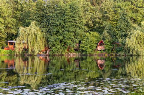 Waldsee im Lehrter Ortsteil Hämelerwald