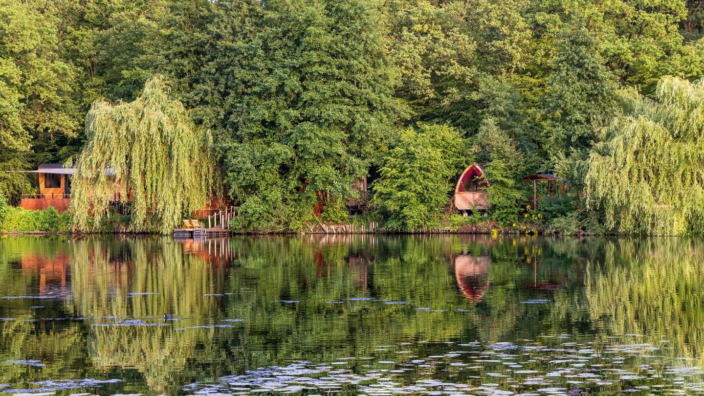 Waldsee im Lehrter Ortsteil Hämelerwald Waldsee im Lehrter Ortsteil Hämelerwald