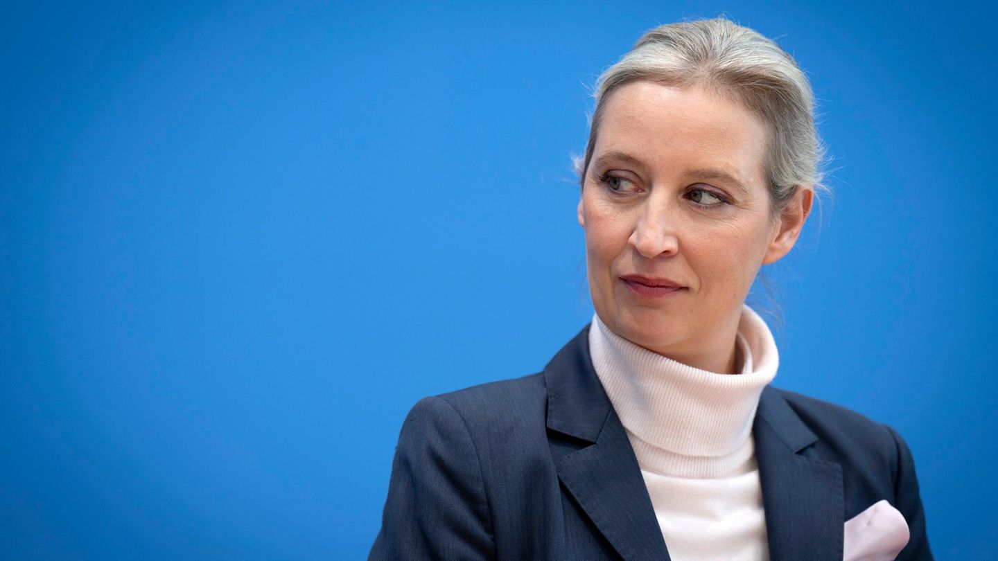 Parteifinanzierung: AfD überweist in Spendenaffäre 2,35 Millionen Euro an Bundestag