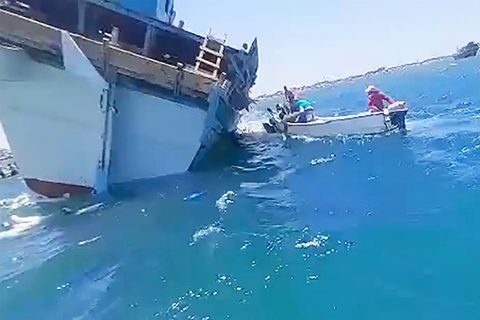 Frachtschiff kentert mit 2000 Schafen – dramatische Rettung im Video